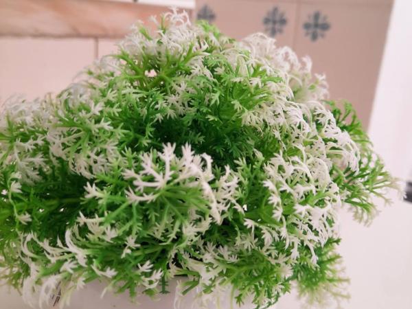 BLife Faro Beach Hostel : photo 4 de la chambre chambre double