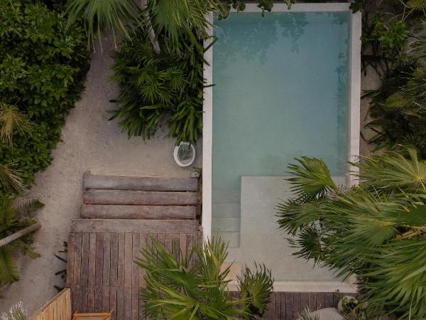 Aldea Canzul Tulum : photo 2 de la chambre villa casa chechen - 5 personnes