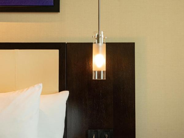 DoubleTree by Hilton-Pune Chinchwad : photo 6 de la chambre hilton guest room queen bed