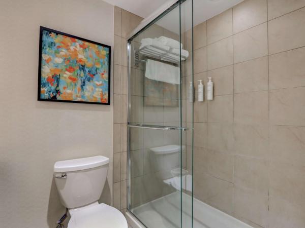 Hilton Garden Inn Indianapolis Northwest : photo 9 de la chambre suite junior lit king-size avec coin salon