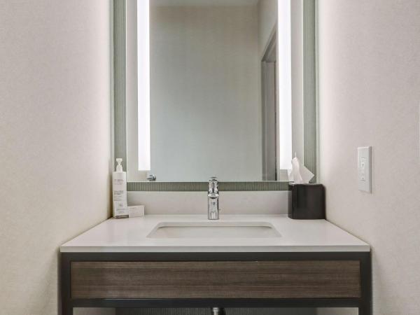 Hilton Garden Inn Indianapolis Northwest : photo 10 de la chambre suite junior lit king-size avec coin salon