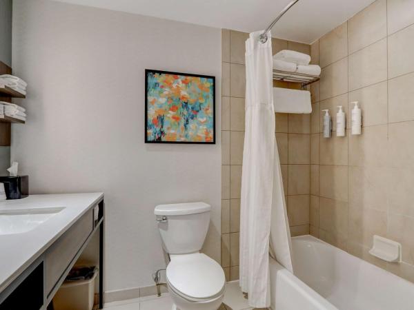 Hilton Garden Inn Indianapolis Northwest : photo 7 de la chambre chambre lit king-size avec baignoire - accessible aux personnes à mobilité réduite