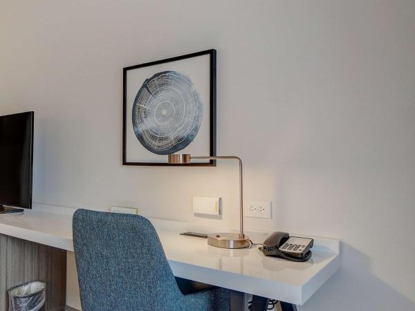 Hilton Garden Inn Indianapolis Northwest : photo 4 de la chambre chambre lit king-size