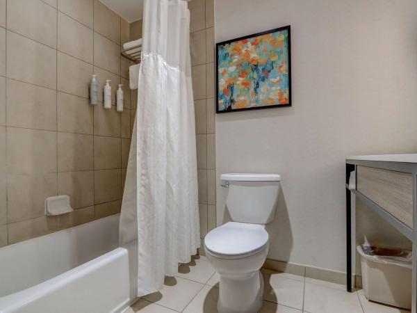 Hilton Garden Inn Indianapolis Northwest : photo 9 de la chambre chambre lit king-size avec baignoire - accessible aux personnes à mobilité réduite