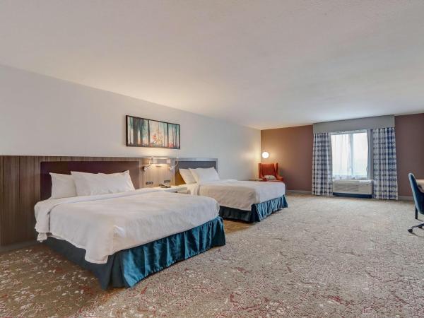 Hilton Garden Inn Indianapolis Northwest : photo 5 de la chambre queen room with two queen beds and accessible tub - mobility access