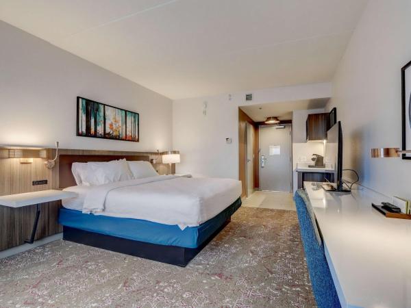 Hilton Garden Inn Indianapolis Northwest : photo 7 de la chambre chambre lit king-size