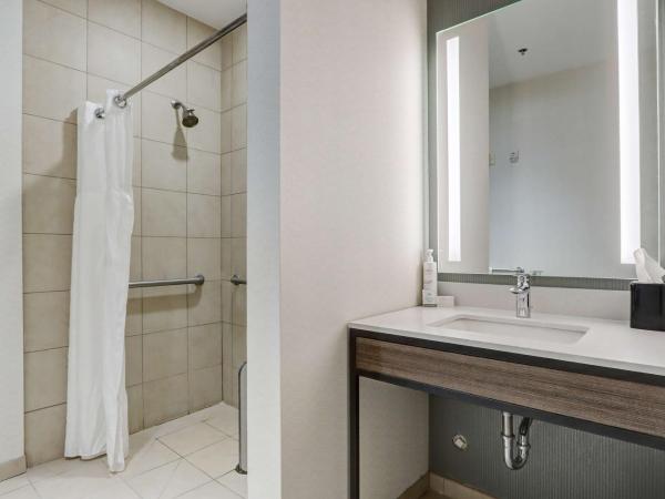 Hilton Garden Inn Indianapolis Northwest : photo 8 de la chambre chambre lit king-size avec douche accessible en fauteuil roulant - adaptée aux personnes à mobilité réduite