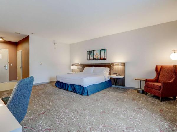 Hilton Garden Inn Indianapolis Northwest : photo 2 de la chambre chambre lit king-size avec baignoire - accessible aux personnes à mobilité réduite