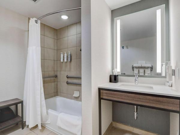 Hilton Garden Inn Indianapolis Northwest : photo 10 de la chambre chambre lit king-size avec baignoire - accessible aux personnes à mobilité réduite