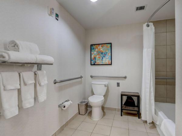 Hilton Garden Inn Indianapolis Northwest : photo 6 de la chambre chambre lit king-size avec baignoire - accessible aux personnes à mobilité réduite