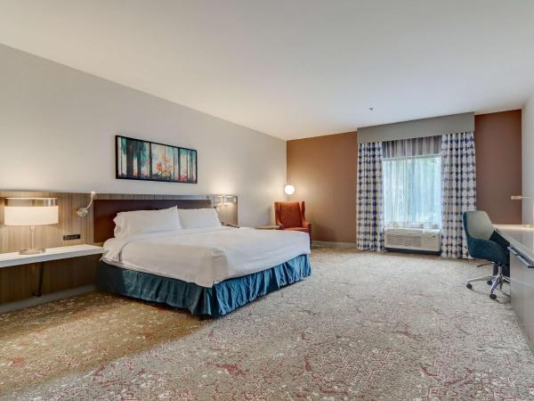 Hilton Garden Inn Indianapolis Northwest : photo 10 de la chambre chambre lit king-size