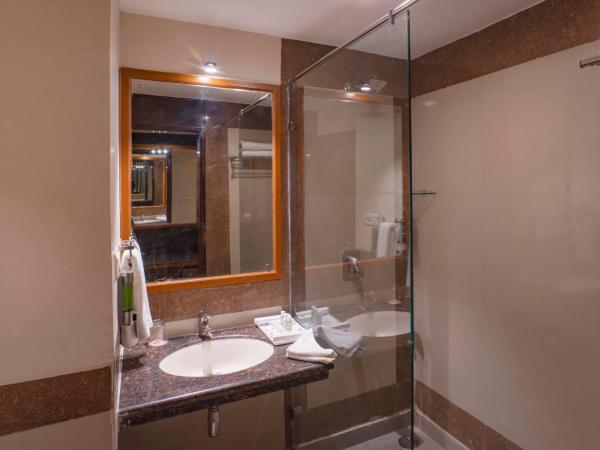 madhuram royale By Shri Ram Excellency Group : photo 3 de la chambre chambre deluxe