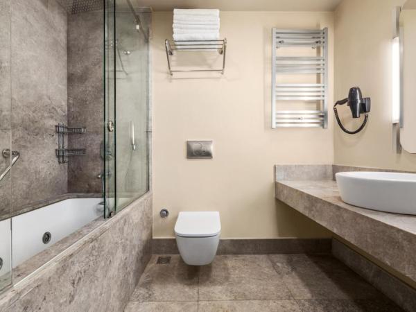 Ramada By Wyndham Istanbul Pera Taksim : photo 4 de la chambre chambre standard avec 1 lit queen-size et 1 lit double