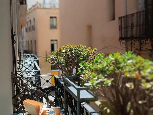 Pensión Alicante San Nicolás : photo 4 de la chambre chambre double avec salle de bains commune