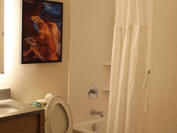 Candlewood Suites - Nashville South, an IHG Hotel : photo 4 de la chambre suite lit king-size supérieure - non-fumeurs