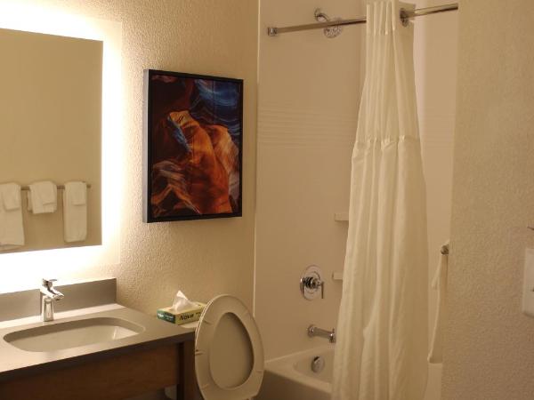Candlewood Suites - Nashville South, an IHG Hotel : photo 1 de la chambre suite studio avec 2 lits queen-size