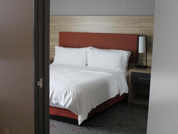 Candlewood Suites - Nashville South, an IHG Hotel : photo 1 de la chambre suite 1 chambre lit king-size - non-fumeurs 