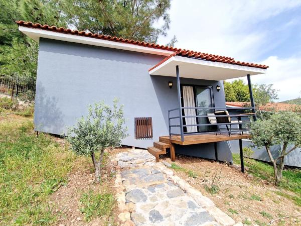 Turnaboğazı Çiftlik Evleri : photo 1 de la chambre suite - vue sur montagne