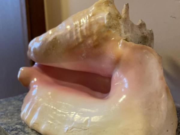 Cinque Terre Pousada & Bistrô : photo 3 de la chambre suite lit queen-size deluxe