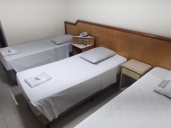 Aero Plaza Hotel : photo 10 de la chambre triple room with air conditioning (3 twin beds)