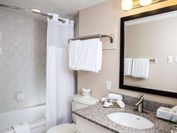 Campus Tower Suite Hotel : photo 4 de la chambre suite premium avec cuisine complète et lit queen-size