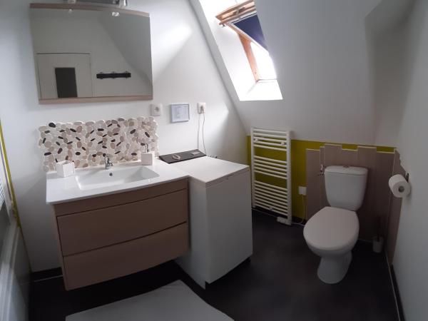 Chambre-Suite (SDB & Cuisinette) centre historique Bourges : photo 5 de la chambre chambre double avec salle de bains privative séparée