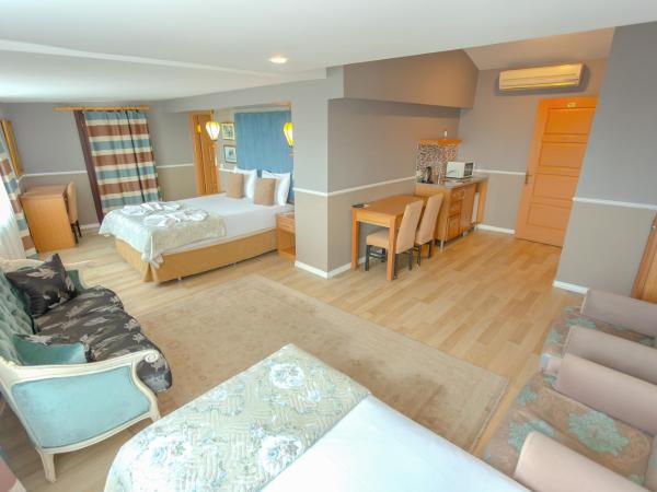 Hotel Tashkonak Istanbul : photo 7 de la chambre penthouse 2 chambres - vue sur mer