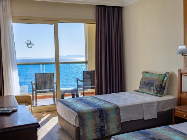 SCALA NUOVA BEACH HOTEL : photo 4 de la chambre chambre double - vue sur mer