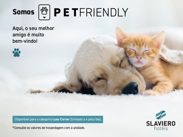 FULL JAZZ by Slaviero Hotéis : photo 2 de la chambre grande chambre double 