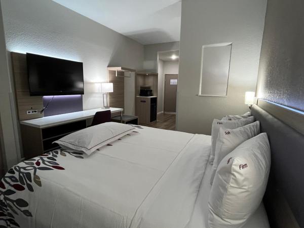 Red Roof PLUS San Antonio Northeast : photo 2 de la chambre premium king room disability access roll-in shower smoke free