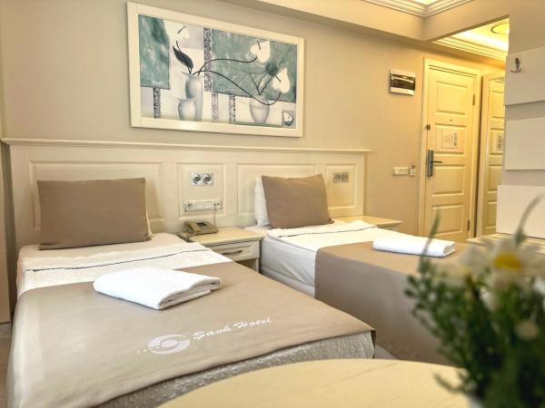 Savk Hotel : photo 3 de la chambre chambre double standard