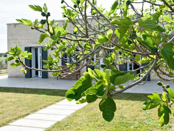 Agrihouse Fronte mare Torre dell'Orso : photo 1 de la chambre villa - vue sur jardin