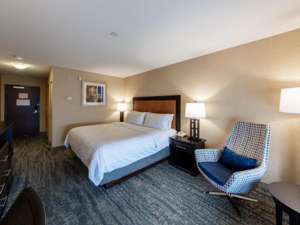 Holiday Inn Express & Suites Riverport Richmond, an IHG Hotel : photo 7 de la chambre chambre lit king-size standard