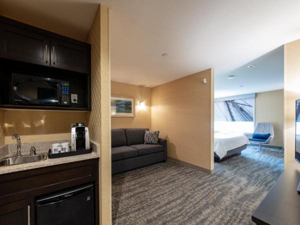 Holiday Inn Express & Suites Riverport Richmond, an IHG Hotel : photo 2 de la chambre suite lit king-size avec canapé-lit