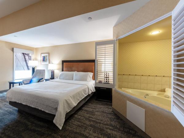 Holiday Inn Express & Suites Riverport Richmond, an IHG Hotel : photo 9 de la chambre suite lit king-size avec baignoire spa