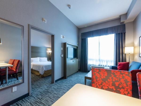 Holiday Inn Express & Suites Riverport Richmond, an IHG Hotel : photo 8 de la chambre suite lit king-size exécutive