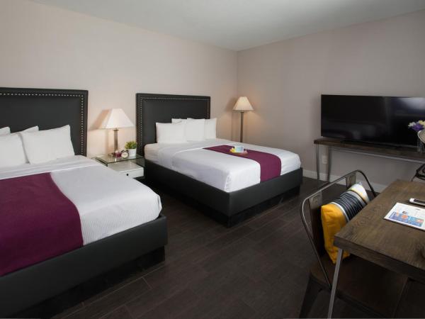 Hotel Iris - Mission Valley-San Diego Zoo-SeaWorld : photo 4 de la chambre chambre 2 lits queen-size - non-fumeurs