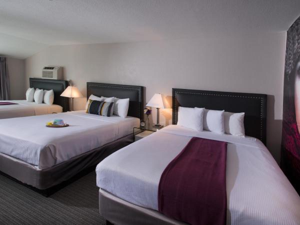 Hotel Iris - Mission Valley-San Diego Zoo-SeaWorld : photo 3 de la chambre chambre triple standard