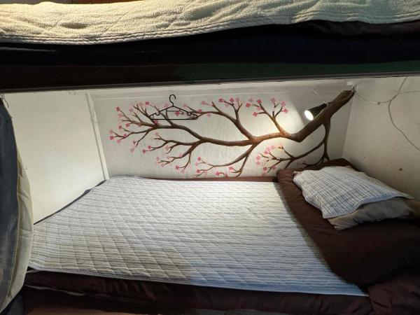 Peace House Showa : photo 5 de la chambre lit superposé dans dortoir mixte