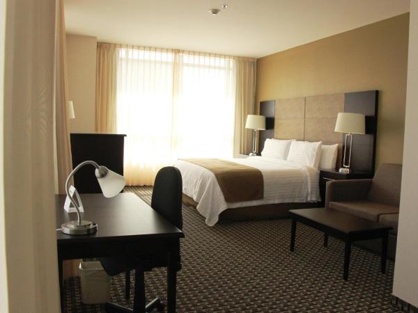 Holiday Inn Mexico Santa Fe, an IHG Hotel : photo 5 de la chambre suite lit king-size