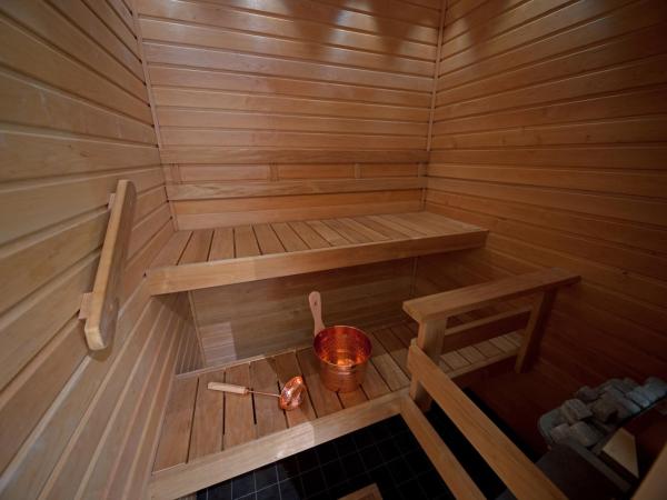 Hotel Levi Panorama & Levi Chalets : photo 3 de la chambre suite de luxe avec sauna