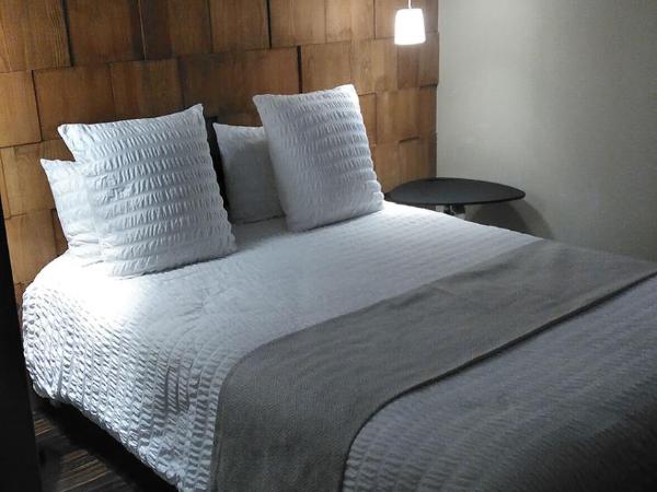 Terminus du Forez Saint-Etienne Centre Gare Chateaucreux : photo 2 de la chambre suite junior