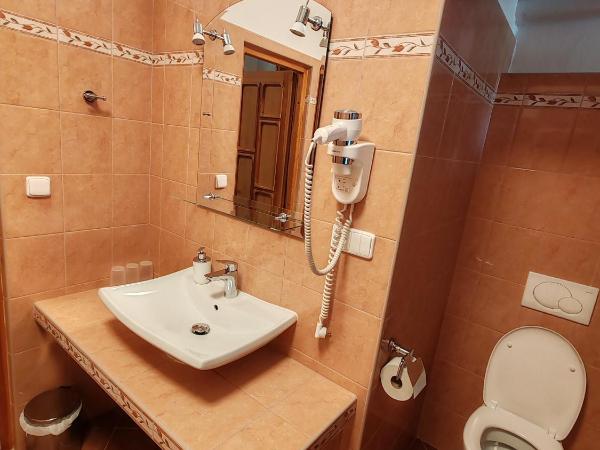 Pension Trojská : photo 3 de la chambre chambre quadruple avec salle de bains privative séparée