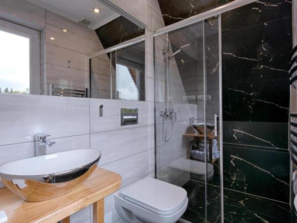 Pensjonat Dawidek : photo 8 de la chambre appartement avec vue sur la montagne