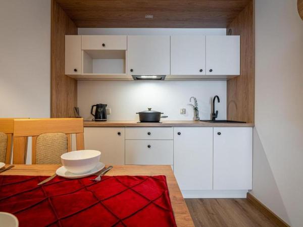 Pensjonat Dawidek : photo 6 de la chambre appartement 2 chambres