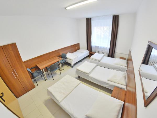 Twój Hostel Klimczoka 7 : photo 5 de la chambre chambre double avec salle de bains privative