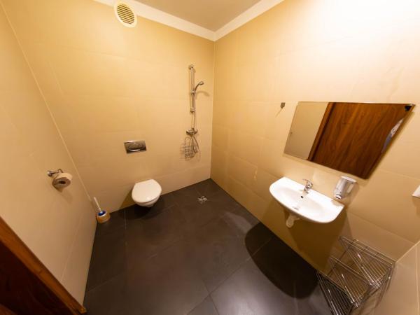 Twój Hostel Klimczoka 7 : photo 7 de la chambre chambre double avec salle de bains privative