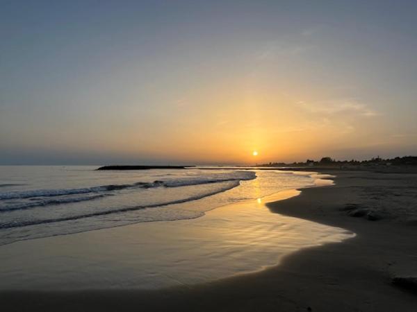 CAP'NOMAD SUITE NOMADE PATIO PISCINE : photo 4 de la chambre chambre double avec terrasse