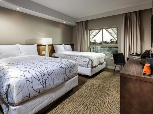 Hotel Aventura : photo 1 de la chambre chambre double standard avec 2 lits doubles