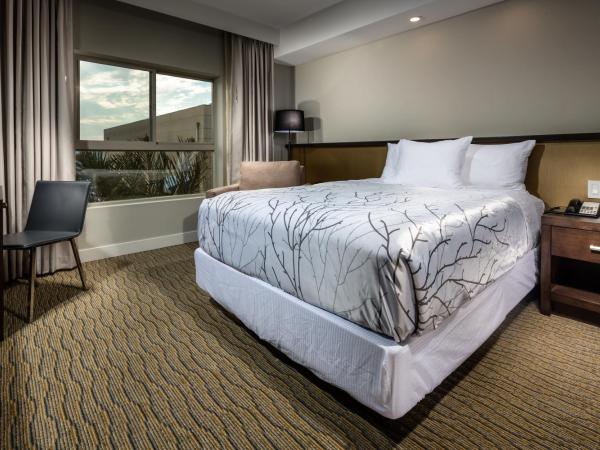 Hotel Aventura : photo 1 de la chambre chambre standard lit queen-size